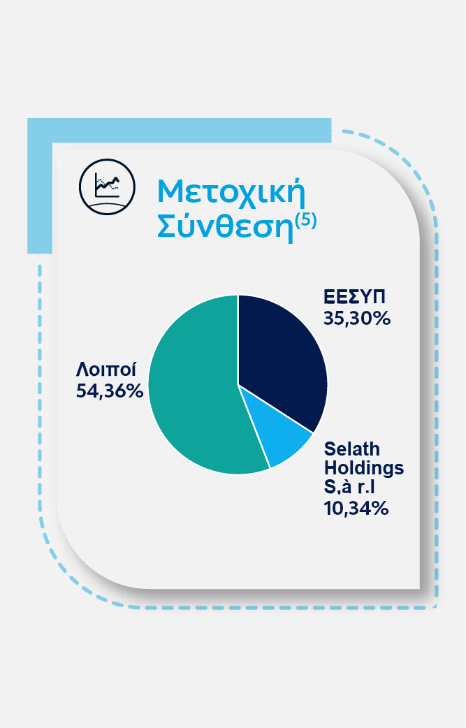 Μετοχική Σύνθεση